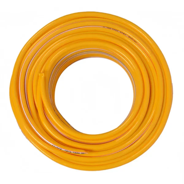 Thickened PVC Hose (3)