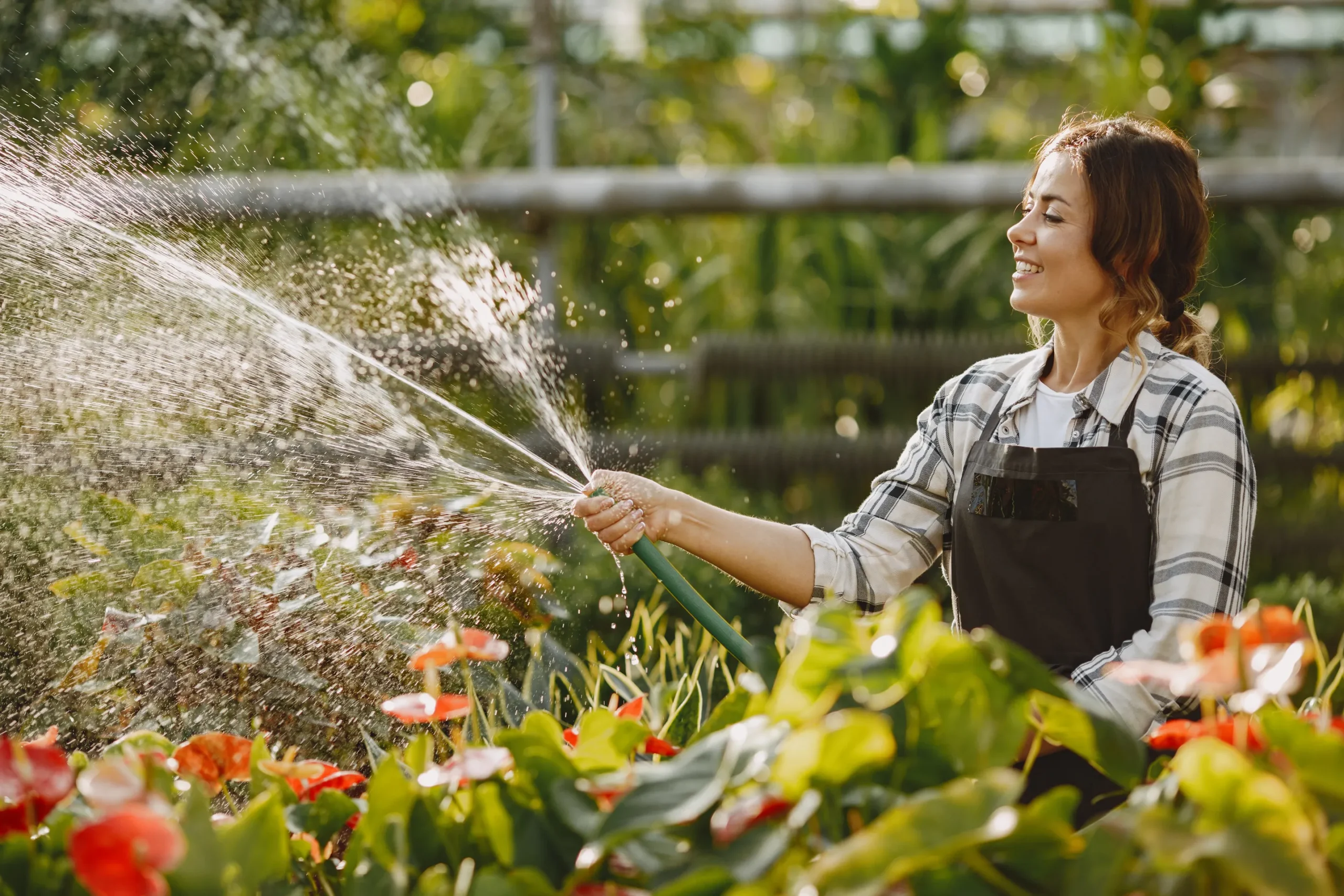 woman-working-in-a-greenhouse-2024-12-06-06-10-27-utc