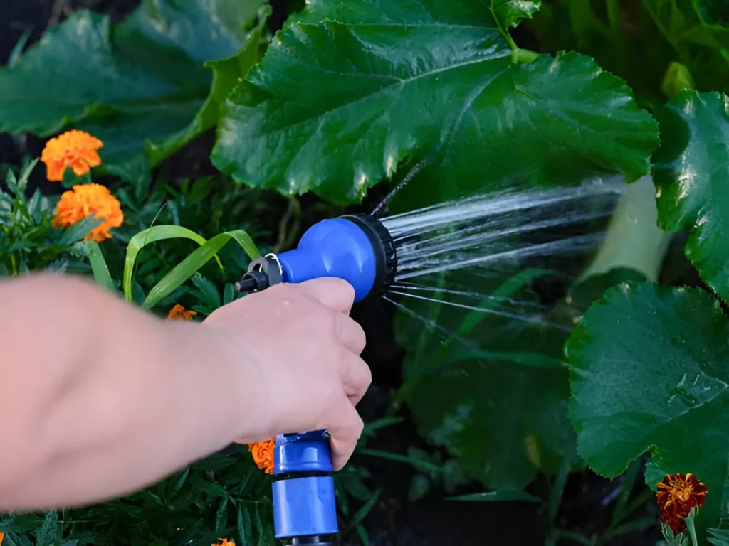 How to Water Your Garden Efficiently with Eco-Friendly Nozzles