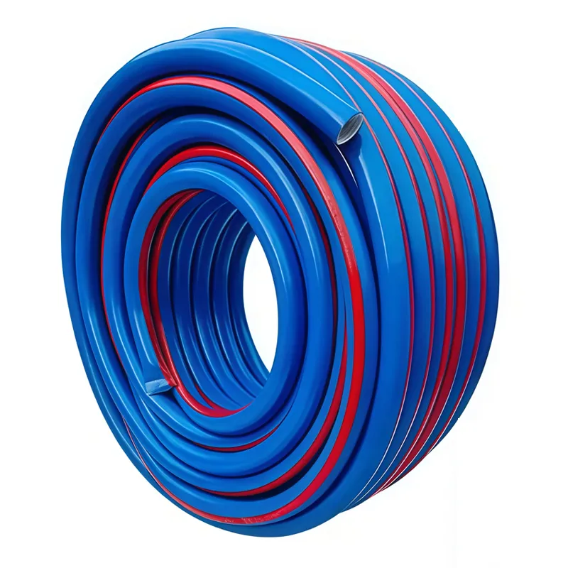 Multifunctional hose