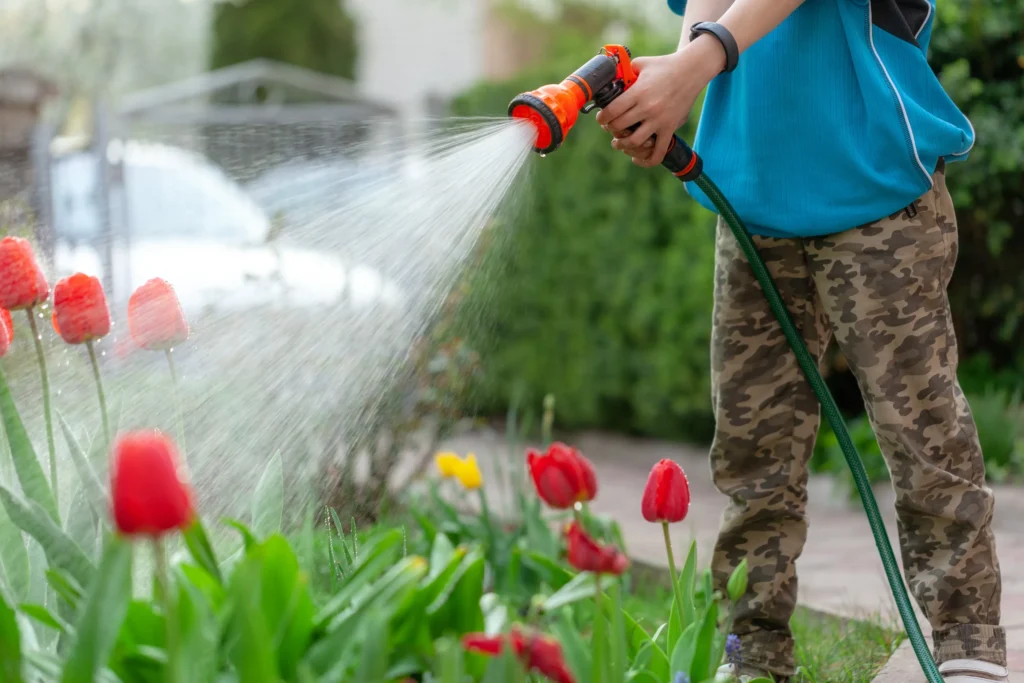 gardener-with-watering-hose-and-sprayer-water-on-22-35-08-utc
