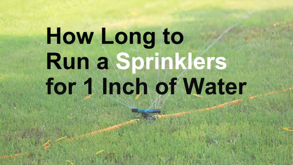 How Long to Run a Sprinklers for 1 Inch of Water