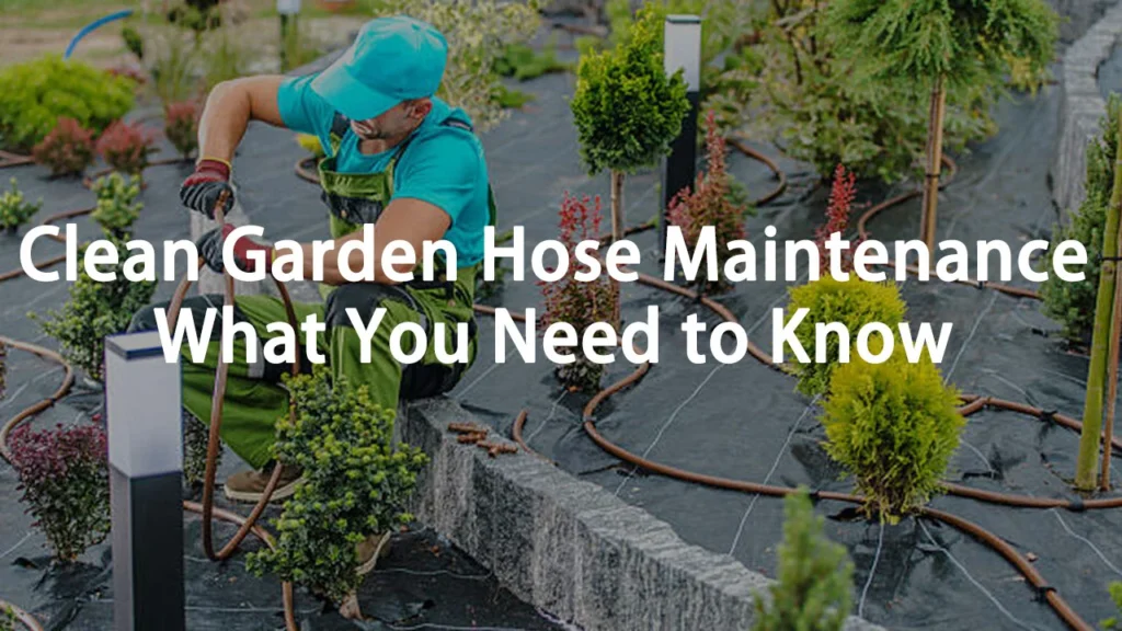 Clean Garden Hose Maintenance: What You Need to Know